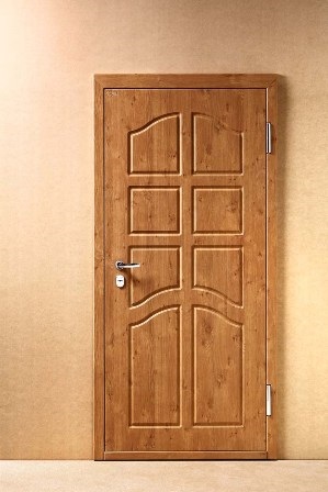 metal doors for apartment